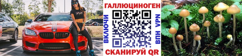 Купить где  Тавда  Псилоцибиновые грибы прущие грибы 